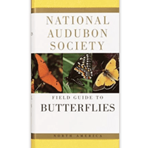 field guide for butterflies