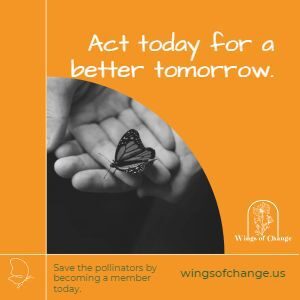 donation to Wings of Change