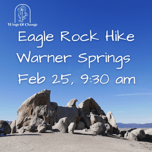 Eagle Rock Hike