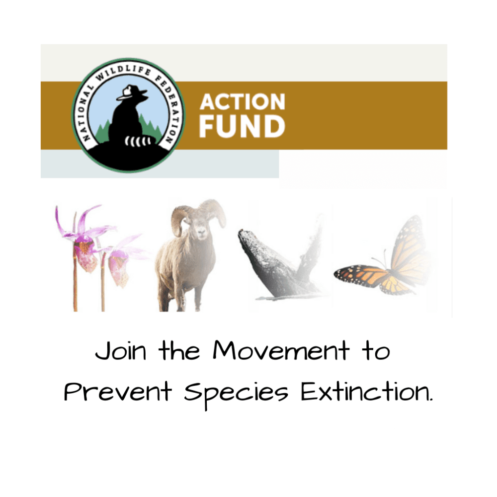 Join the Movement to Prevent Species Extinction