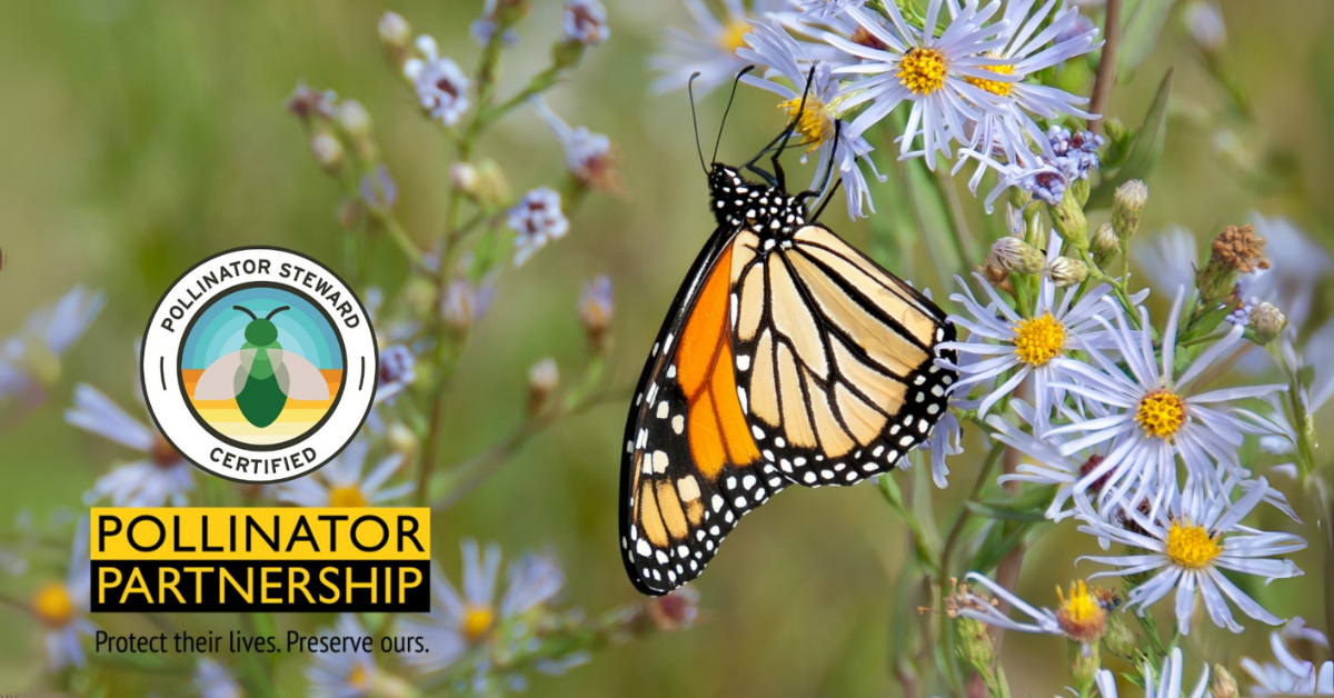 Pollinator Steward Certification (PSC)