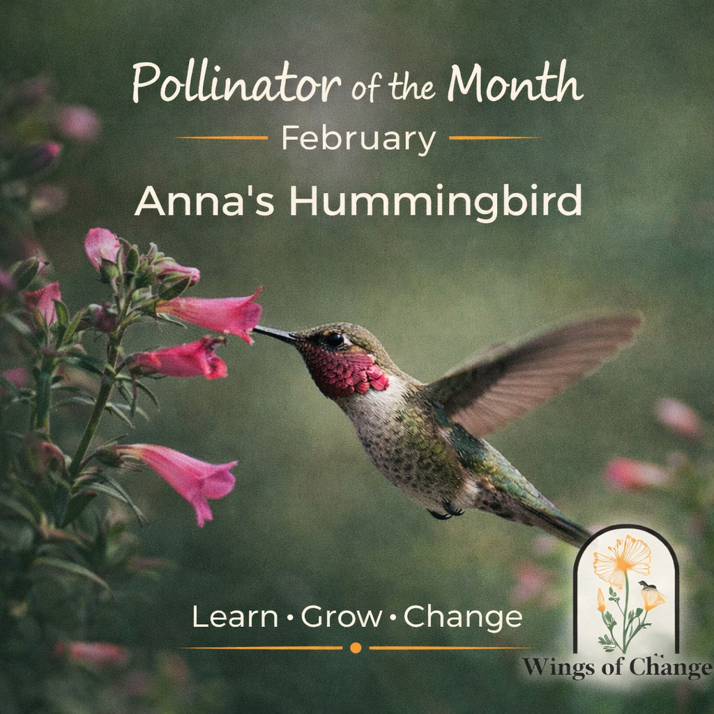 Wings of Change Spring Pollinator Celebration Fallbrook pollinator event April 11 2026